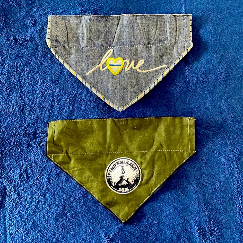 2 doggy bandannas.